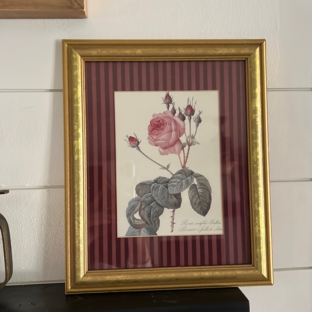 Rose wall art